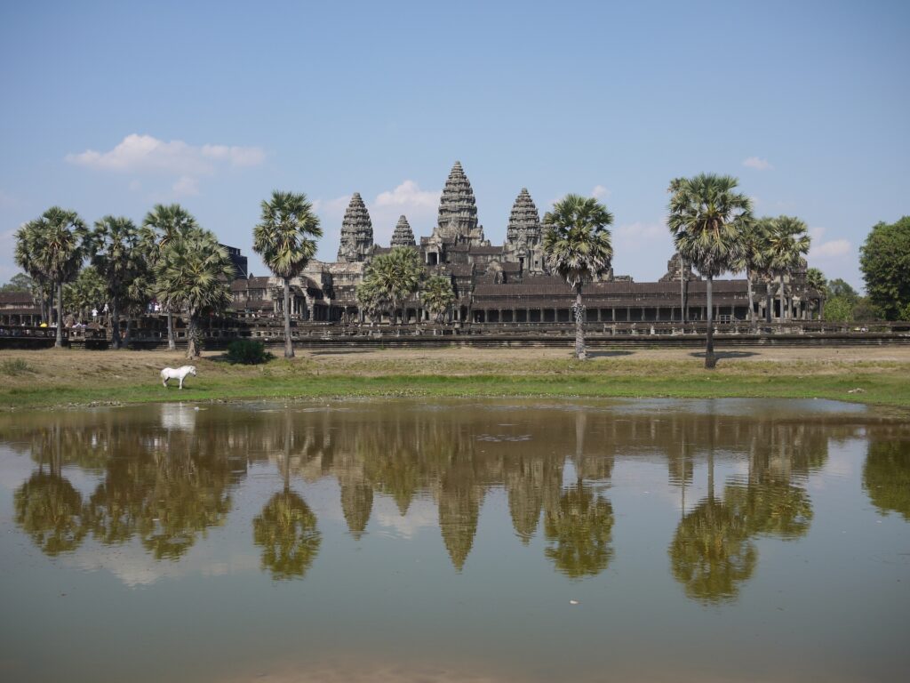 アンコールワットの神秘的な寺院遺跡と自然に包まれた世界遺産