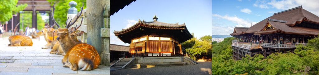 奈良法隆寺京都を巡る初心者向け世界遺産ルート