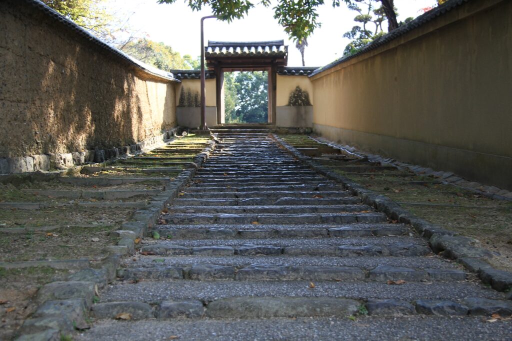 自然と共存する世界遺産での体験と静かな時間