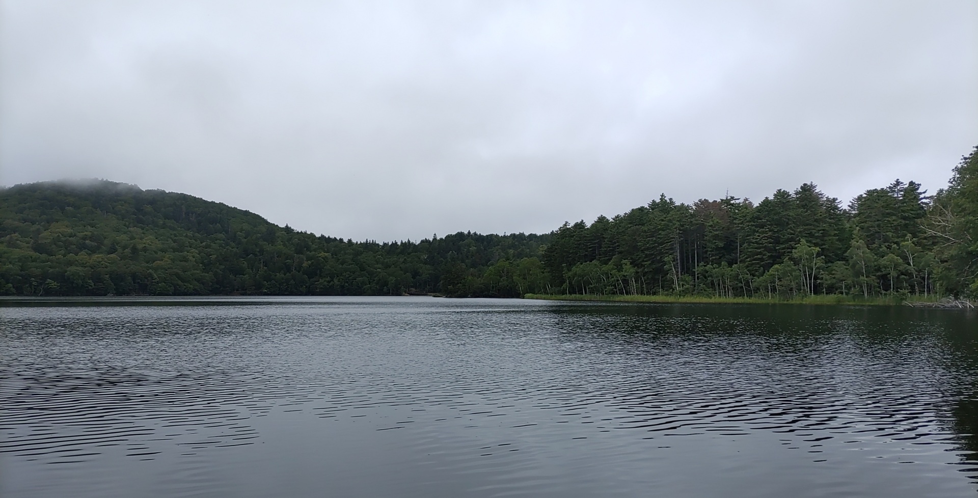 世界遺産の取り消しや危機制度の仕組みを示すイメージ画像