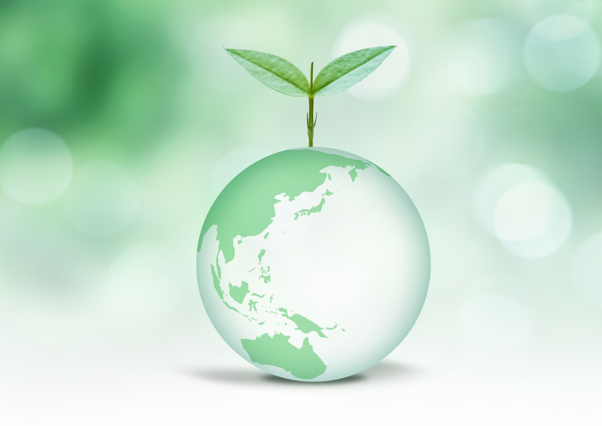 世界遺産を未来へ守るための共生と保護のイメージ