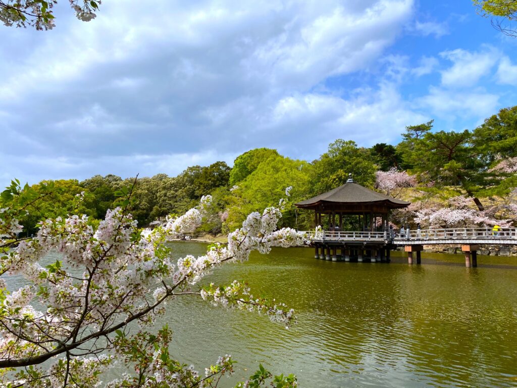 自然の中で世界遺産を体感する五感の体験
