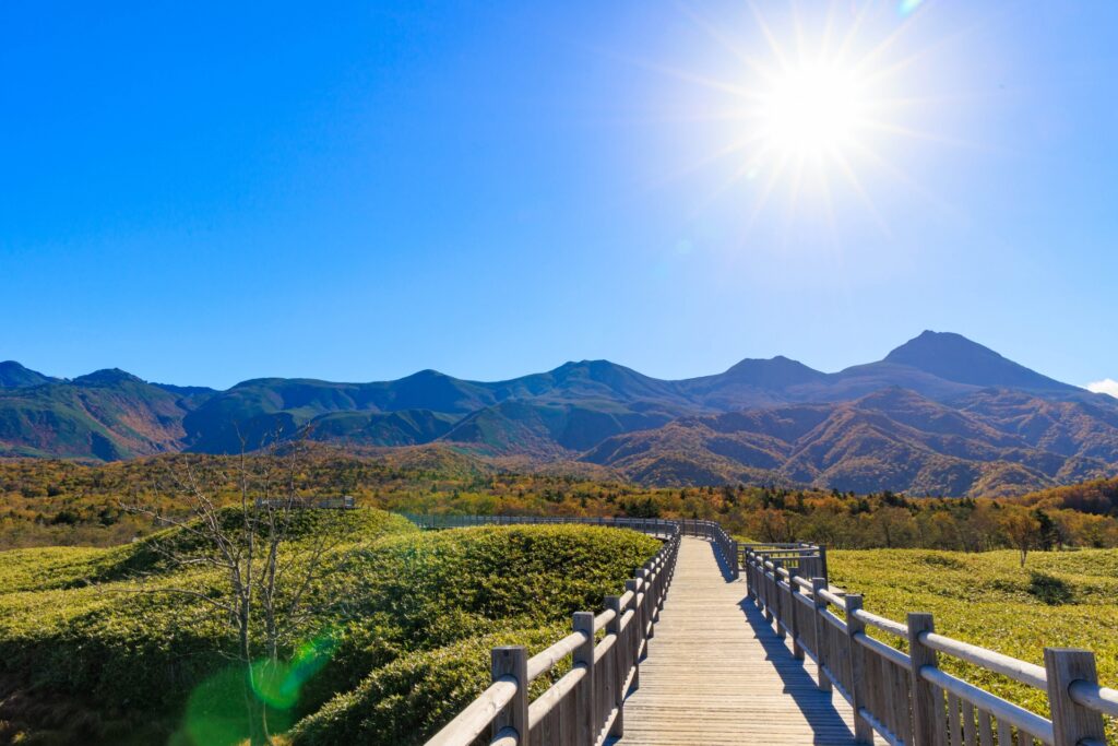 世界遺産を訪れることで広がる視野と価値観の変化（知床遊歩道）