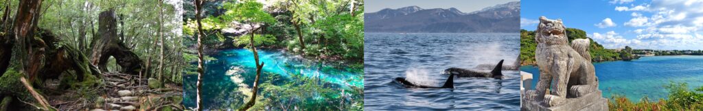 屋久島白神山地知床など日本の自然世界遺産を巡るルート