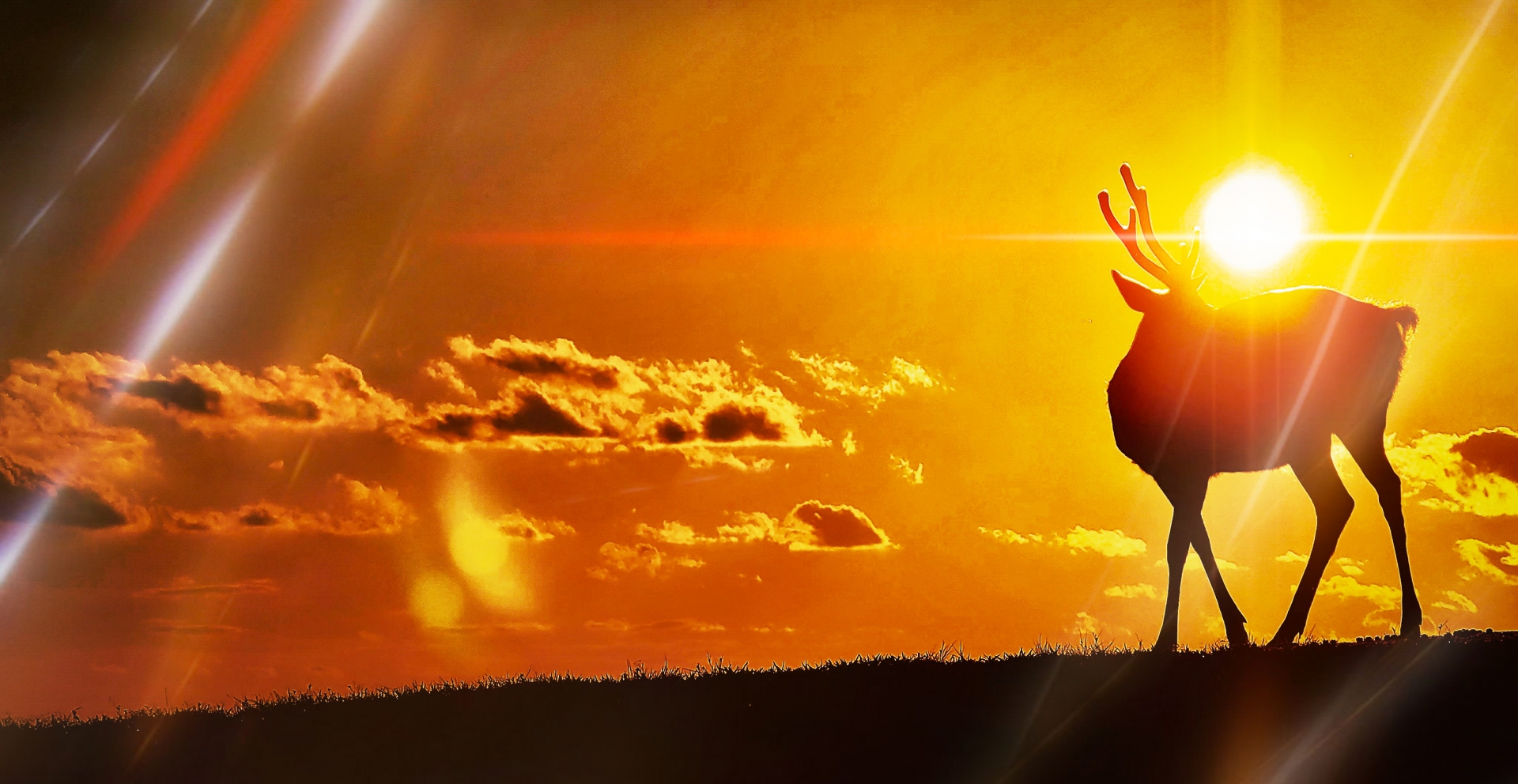 東アジアの自然と文化を象徴する山と鹿の風景（世界遺産と未来の保護）