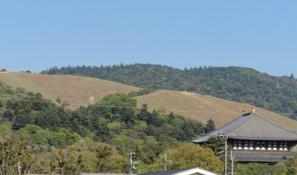 東大寺と若草山の風景、世界遺産保護における人類の責任と選択を象徴する風景
