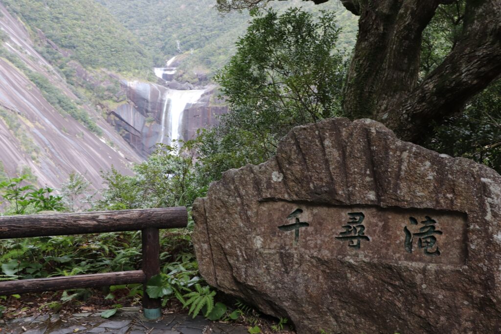 屋久島の原生林と苔むした森の風景（自然を感じる世界遺産）