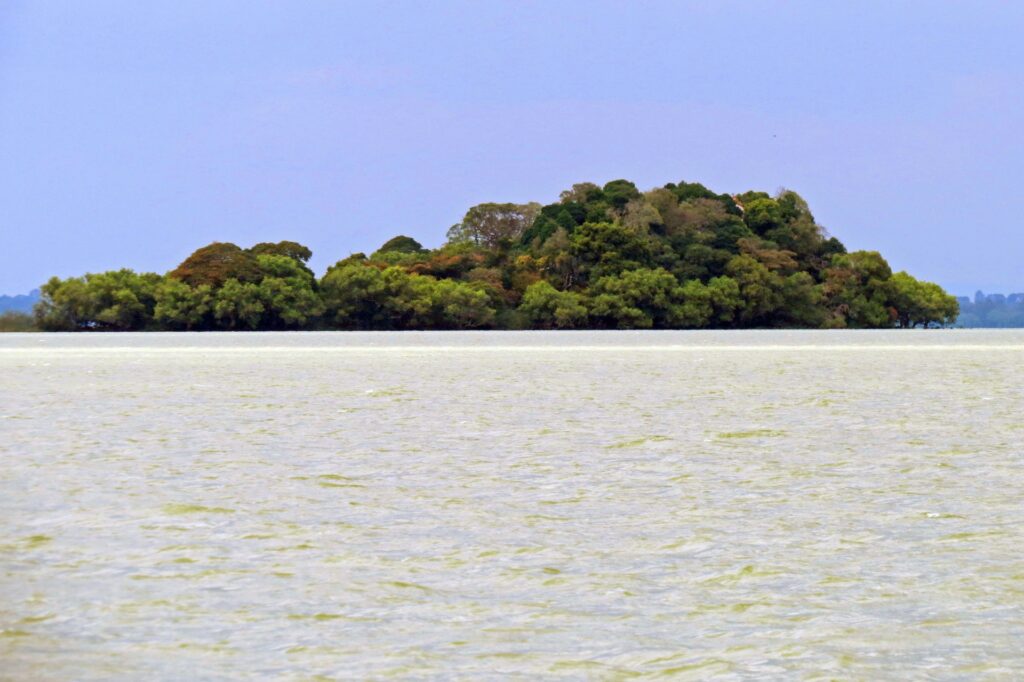 湖に浮かぶ島と自然環境 世界遺産候補となる淡水生態系の風景