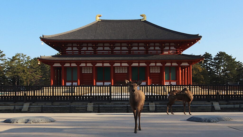 興福寺の中金堂
