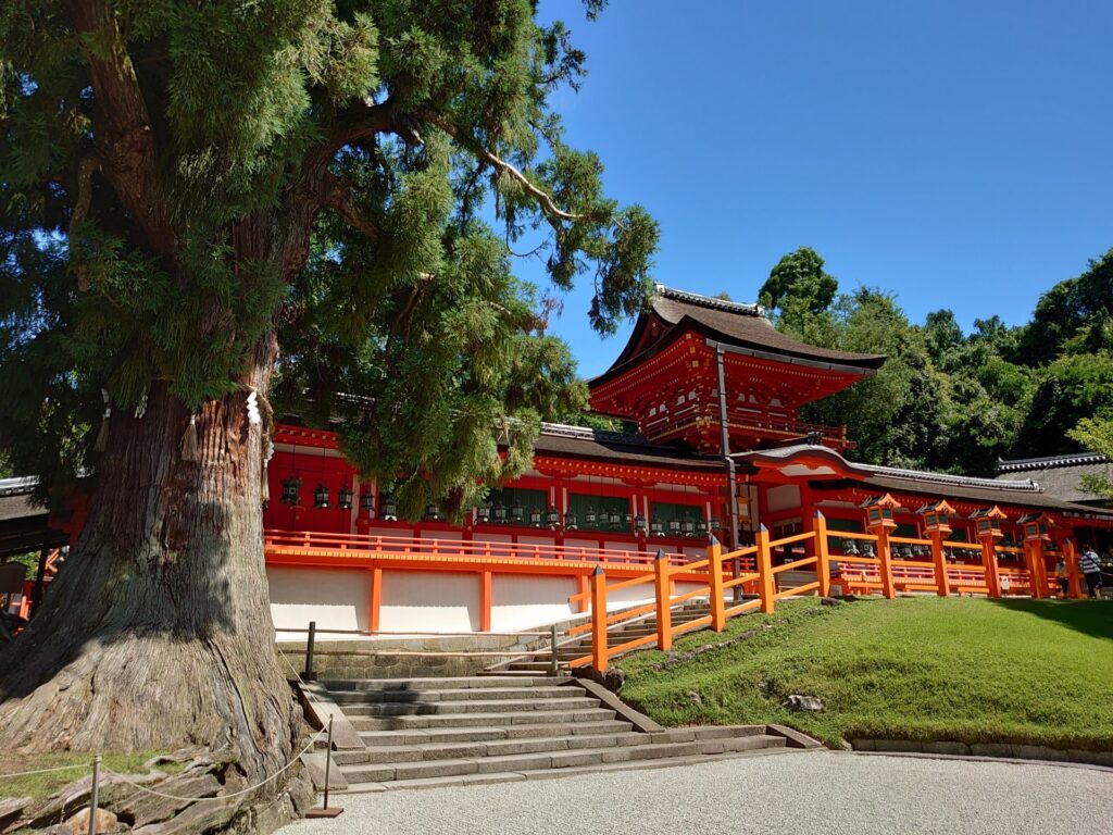 奈良奥山原始林の中に建つ春日大社。