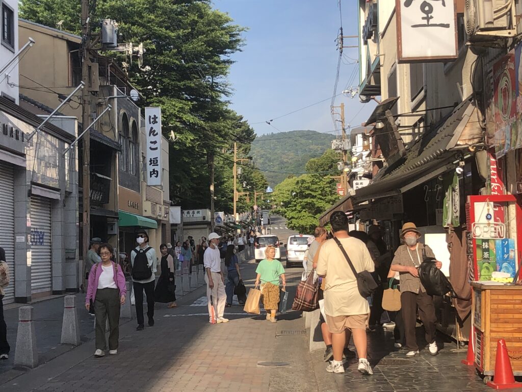 三条通りから猿沢池に向かう
