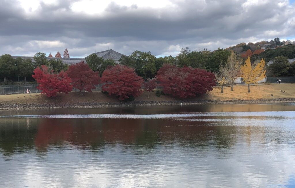 大仏池に移る紅葉