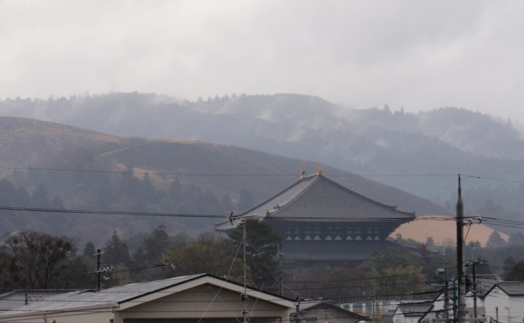 山焼きの翌朝の若草山