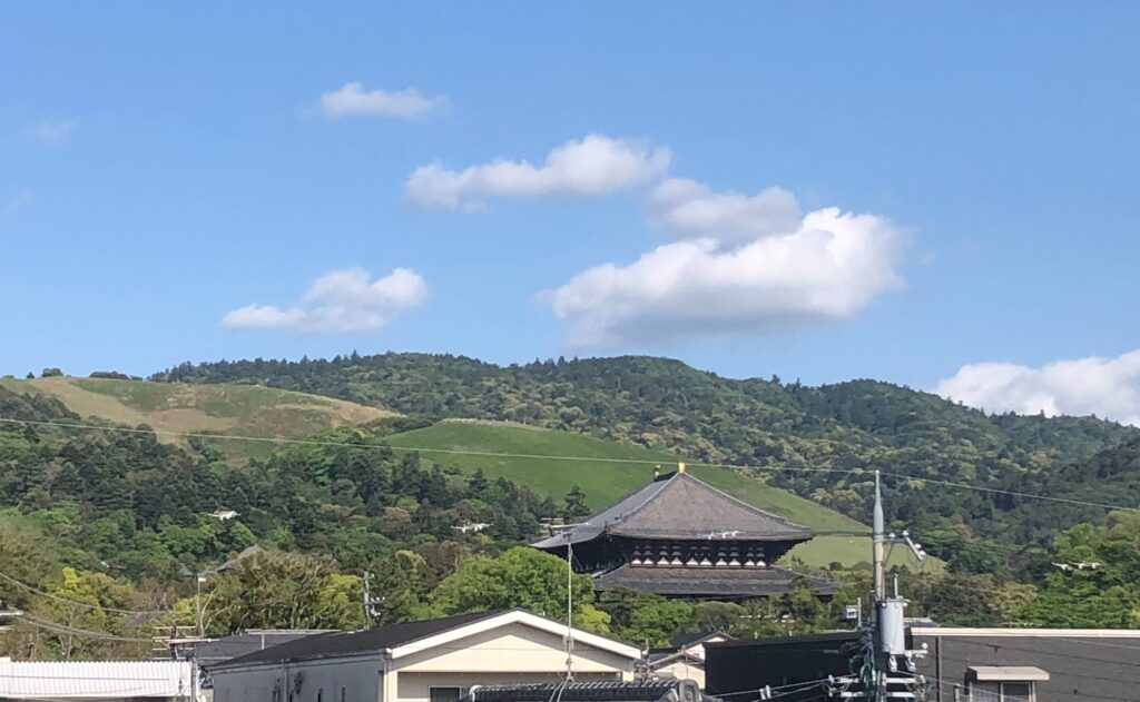 新緑の若草山
