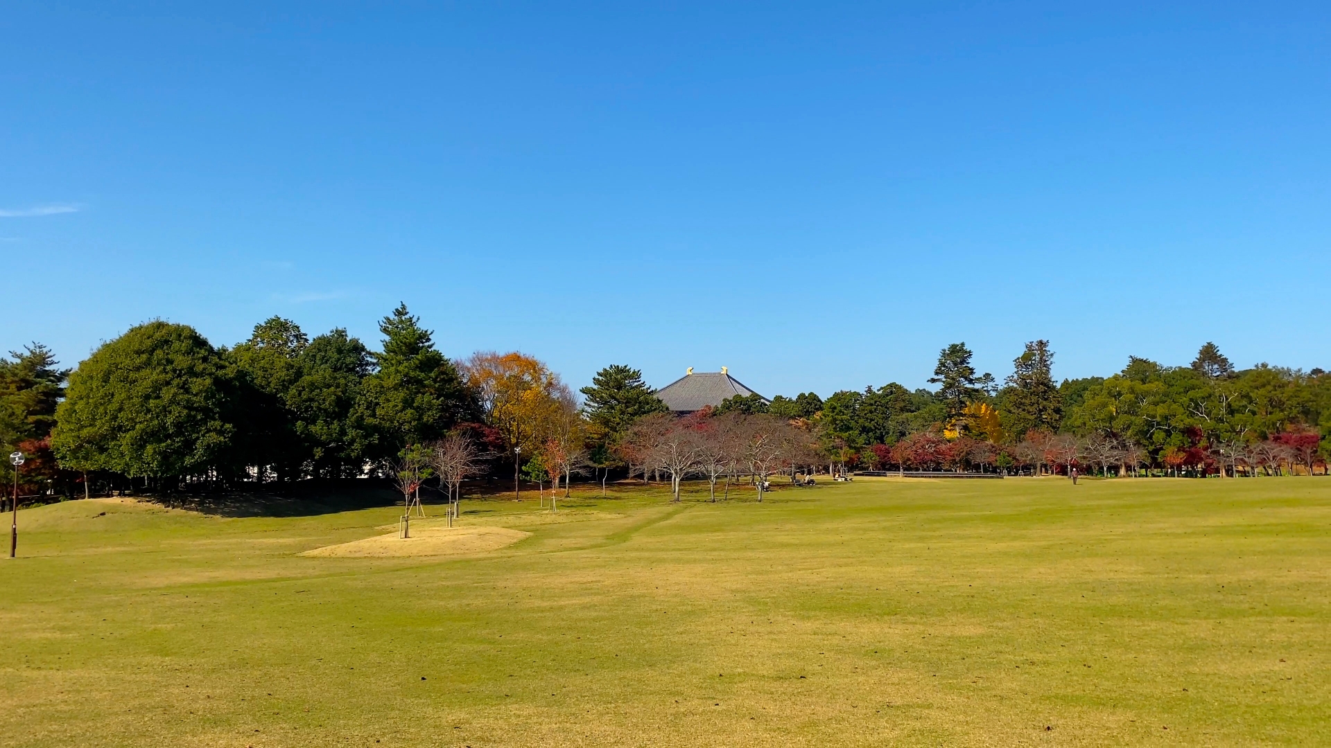 奈良公園、春日野園地
