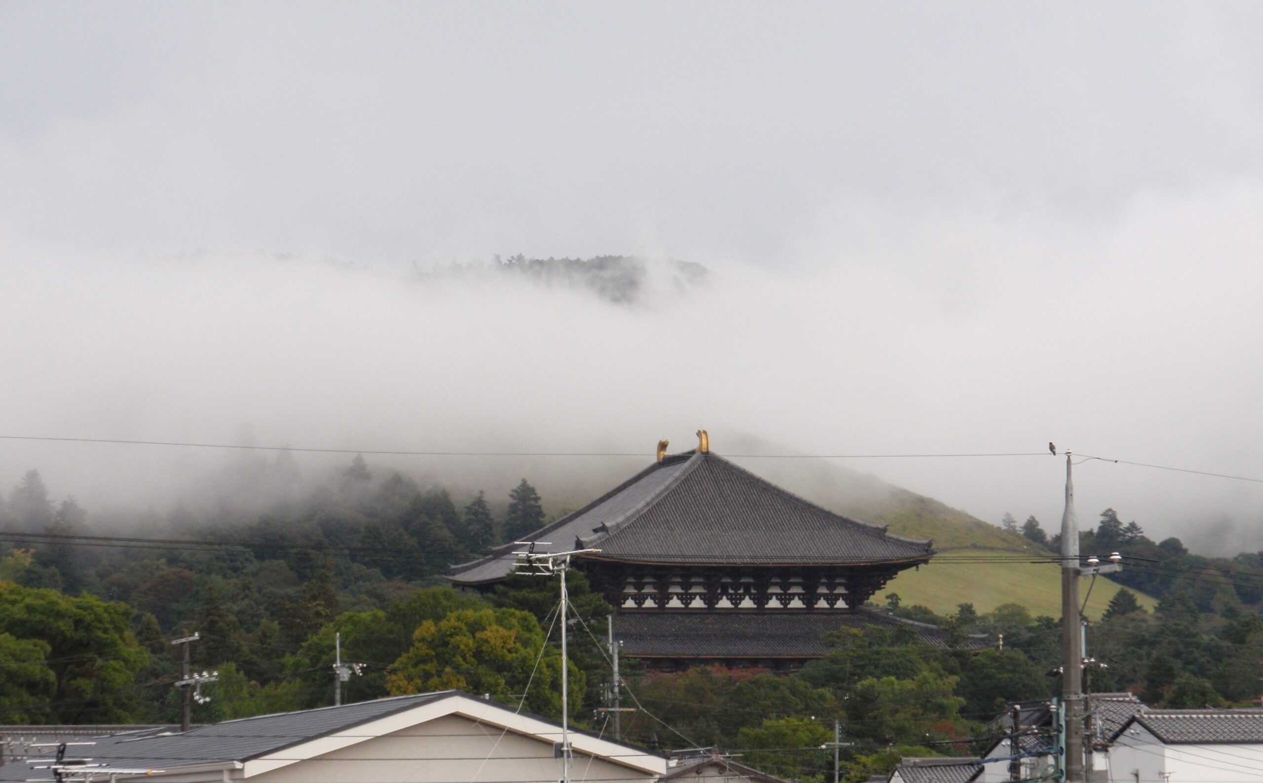 朝靄の若草山と東大寺