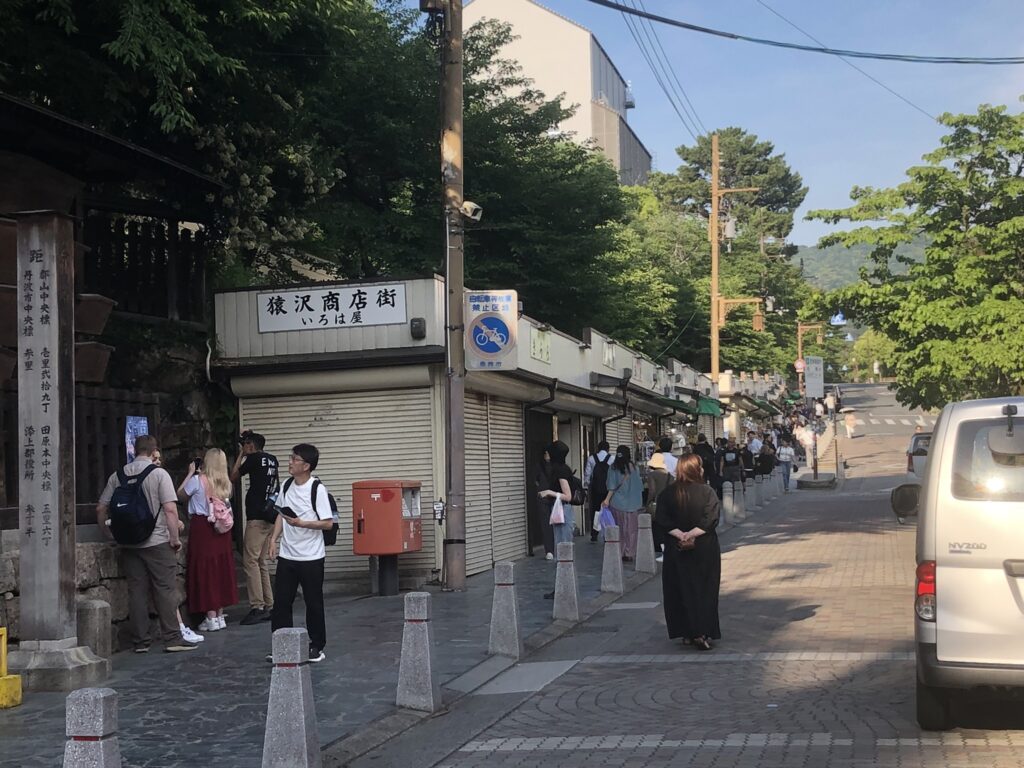 猿沢商店街。後ろの興福寺五重塔（工事中）
