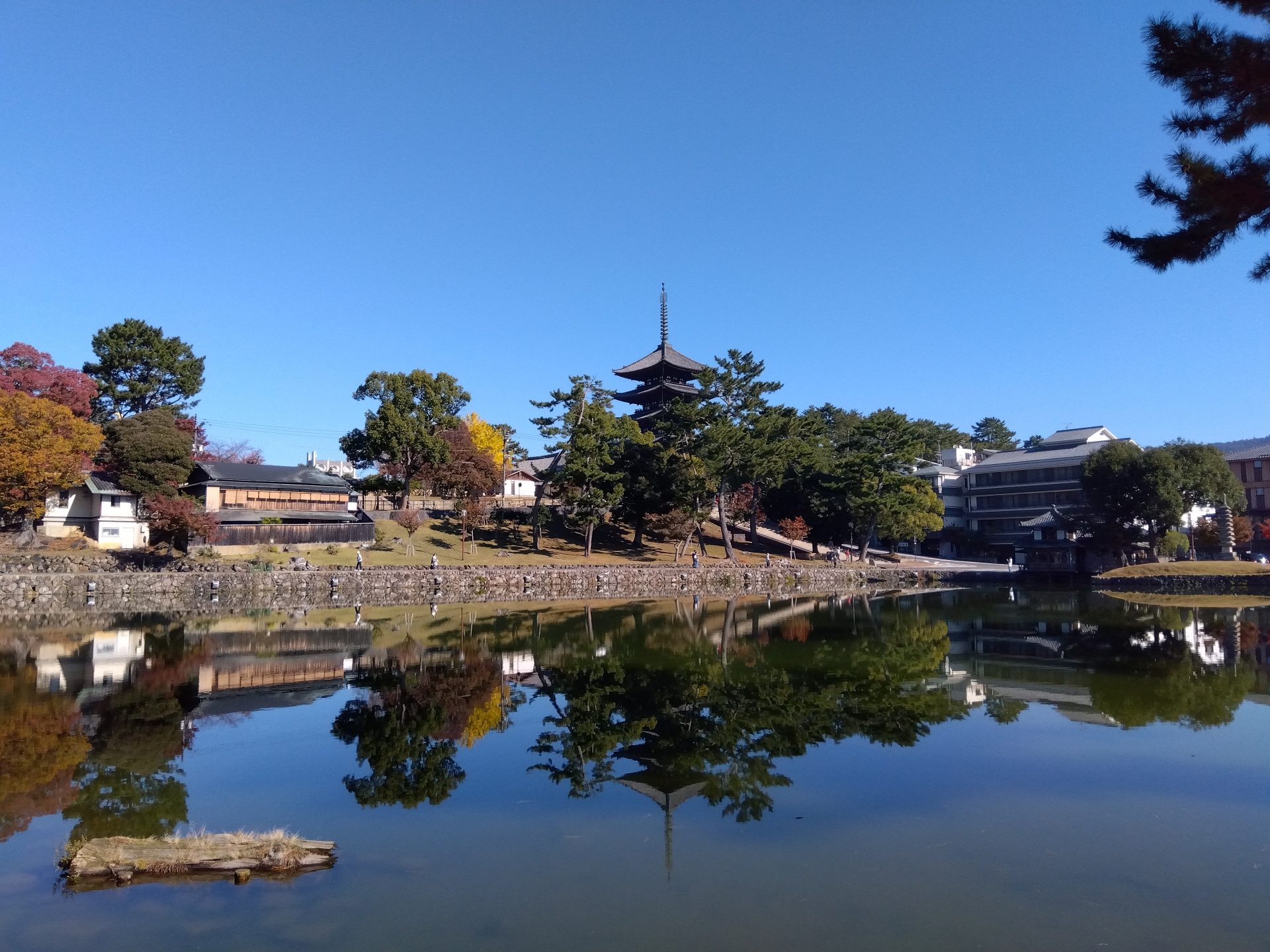 猿沢池の水面に映る興福寺五重塔