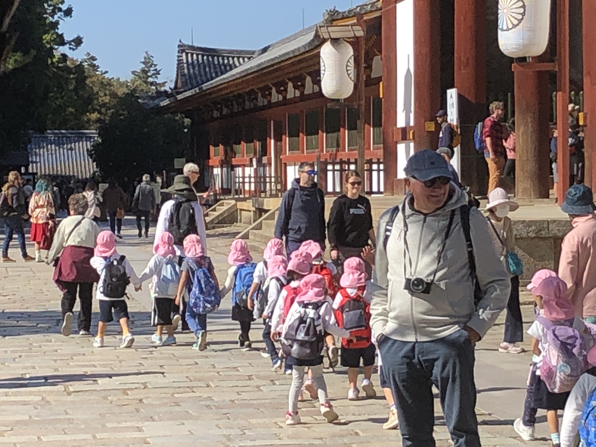保育園児の遠足風景