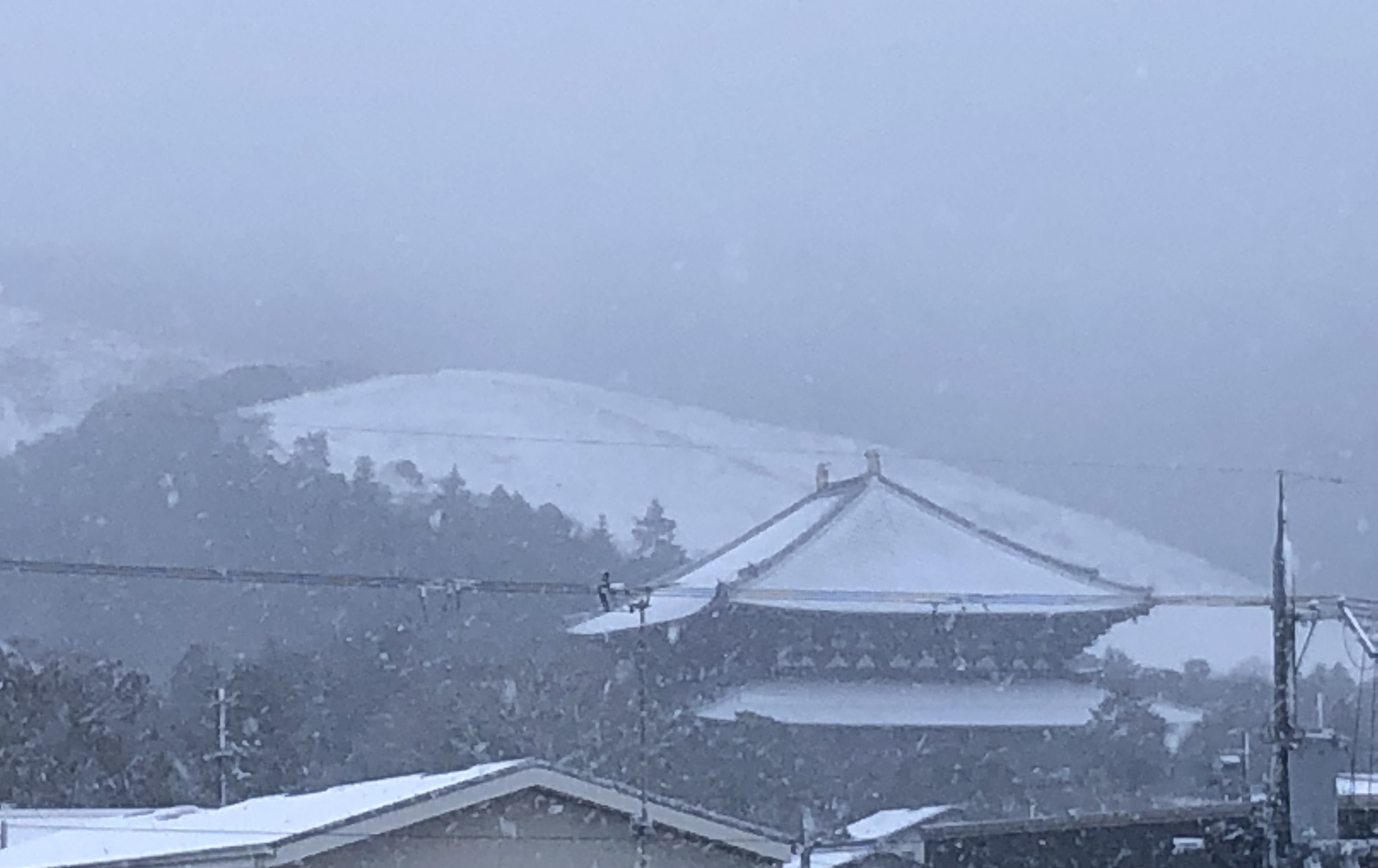 雪の降る若草山