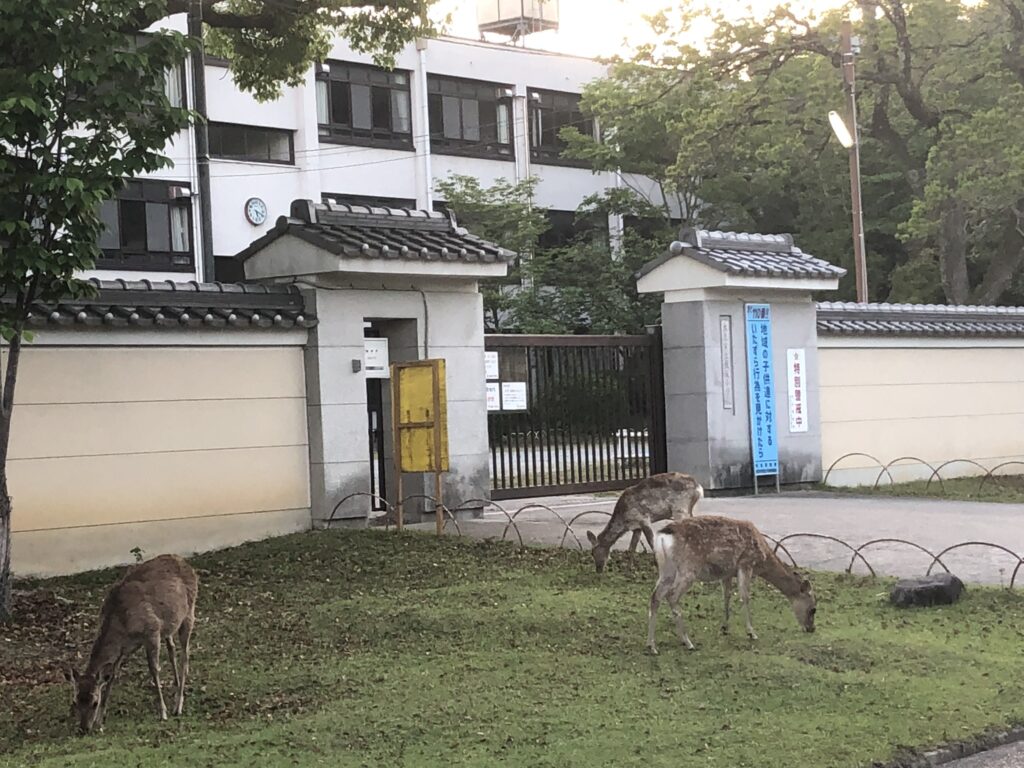 正倉院と隣り合わせに建つ鼓阪小学校
