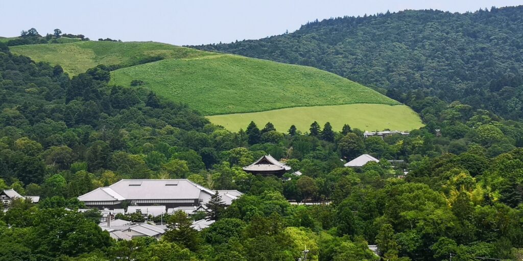 夏、新緑の若草山