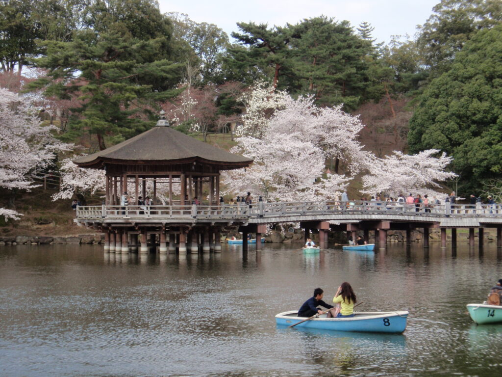 春の桜と奈良公園、浮御堂