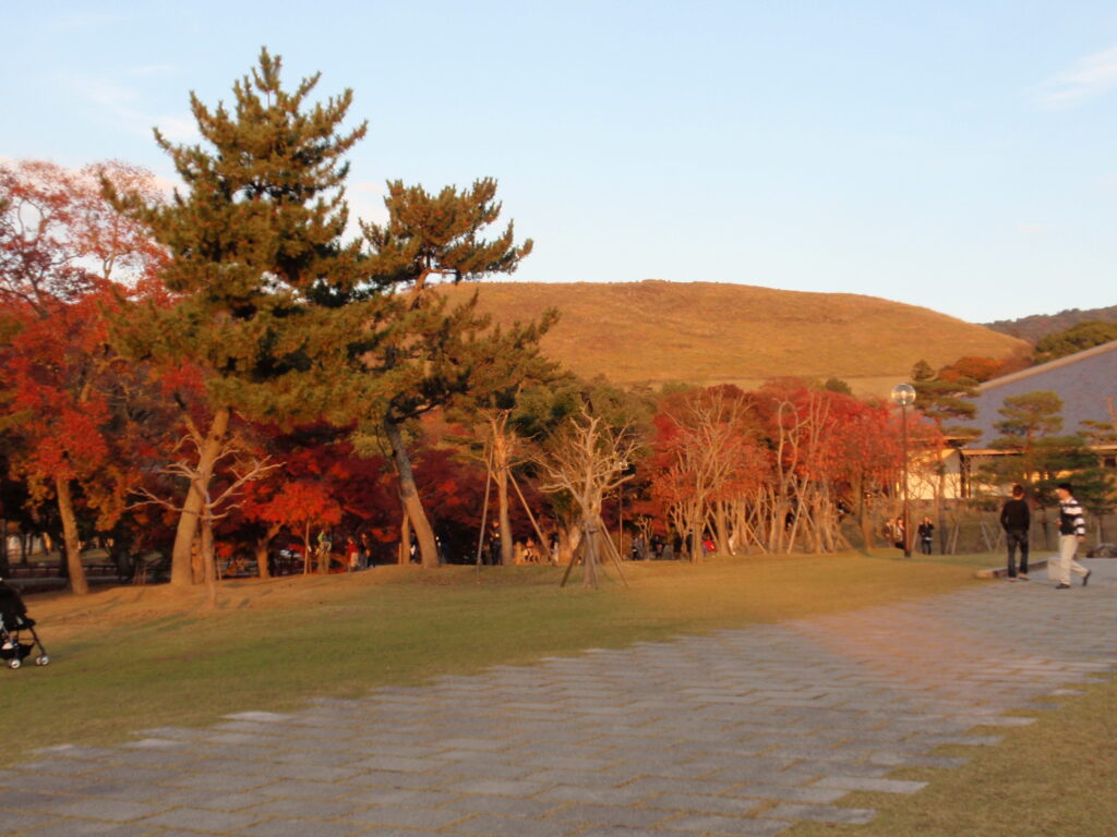 彩る秋の紅葉と若草山